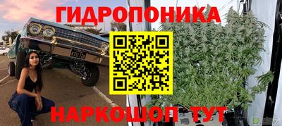 марки nbome Гай