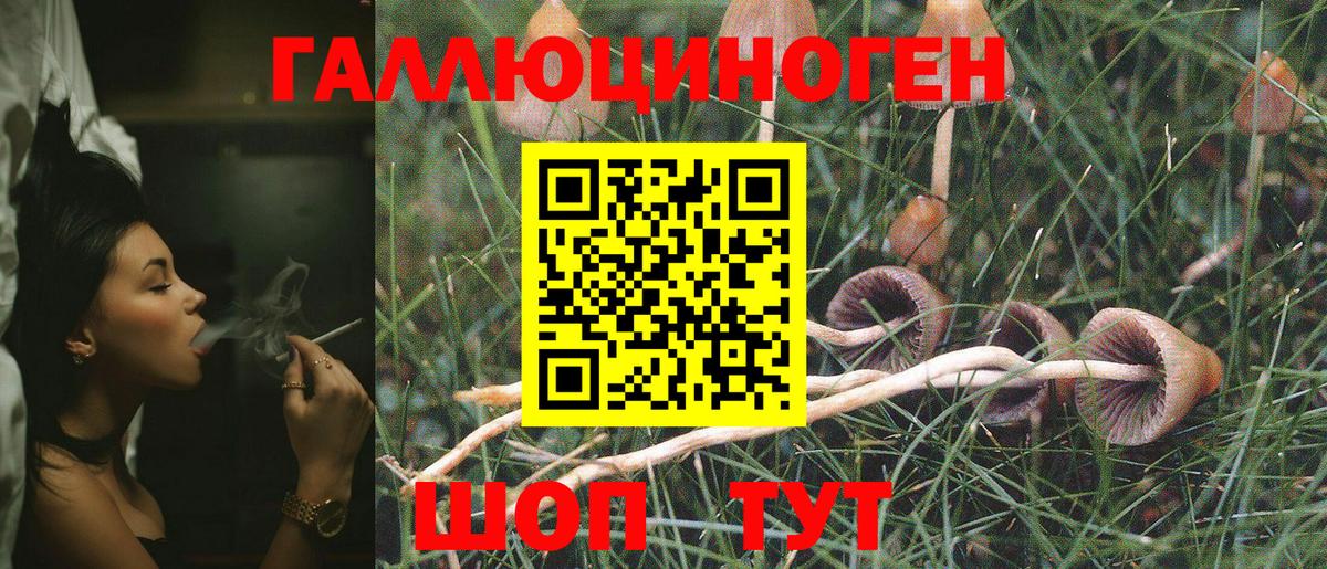 Галлюциногенные грибы GOLDEN TEACHER  Красноярск 