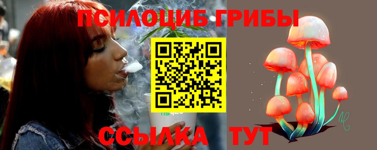 Галлюциногенные грибы GOLDEN TEACHER Красноярск